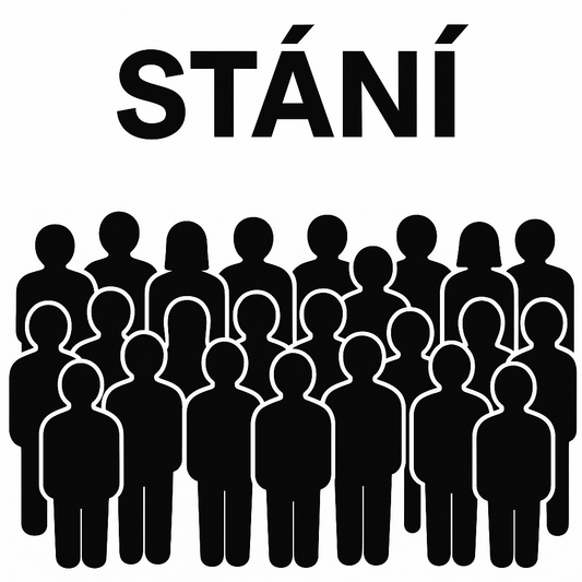 Vstupenka - Stání